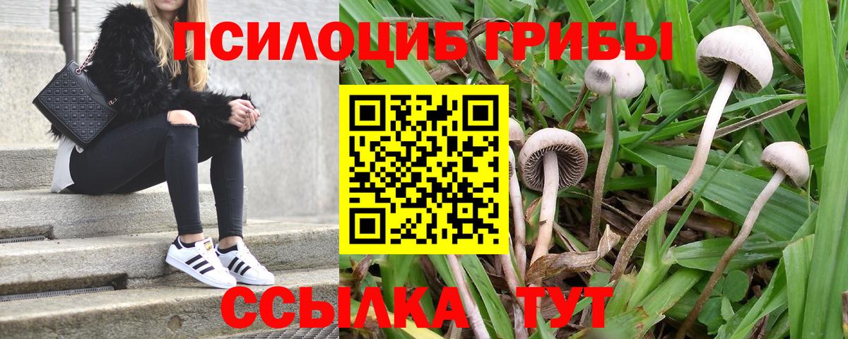 Псилоцибиновые грибы прущие грибы Черногорск