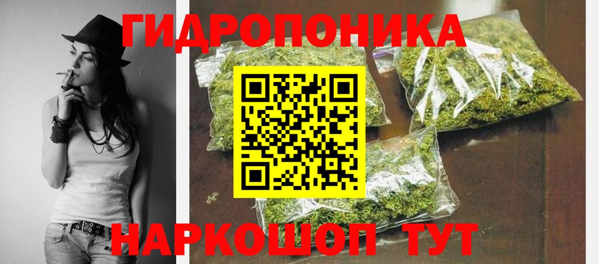 Канабис сатива Черногорск
